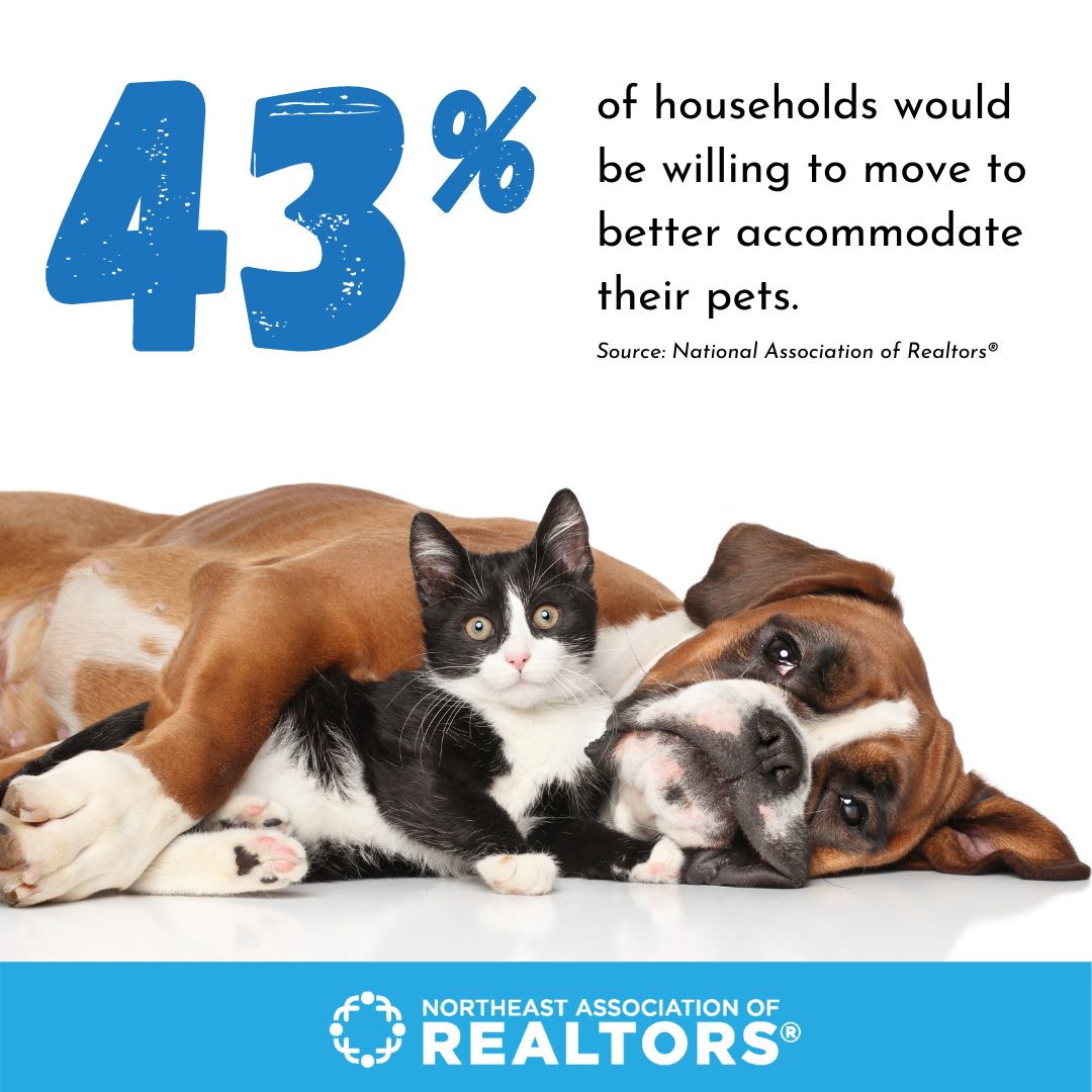 43% households would move to better suit pets with image of cat and dog laying together