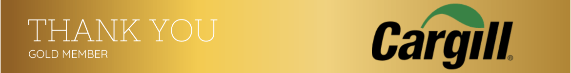 Website Advertising