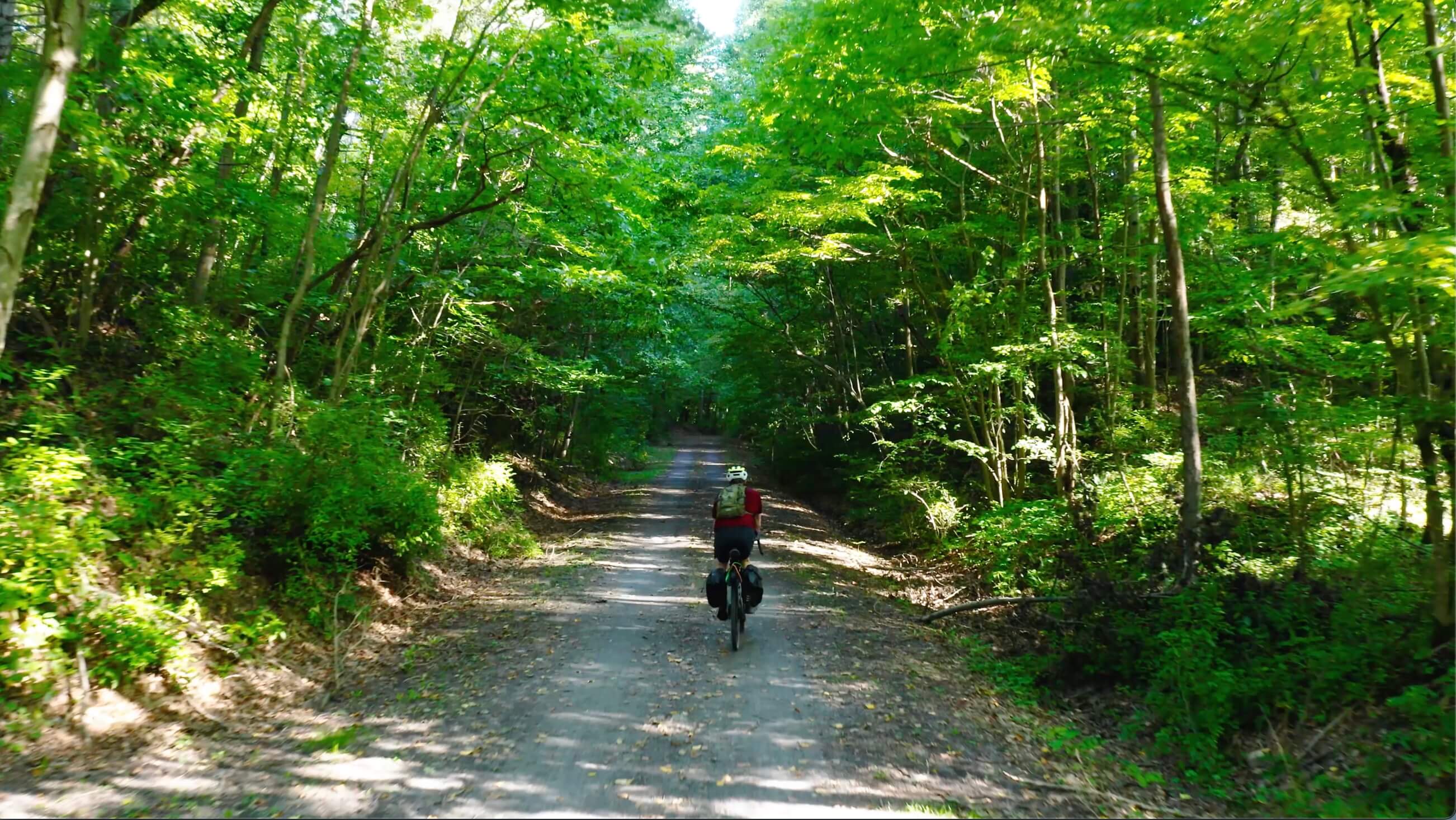 biking1 biking1