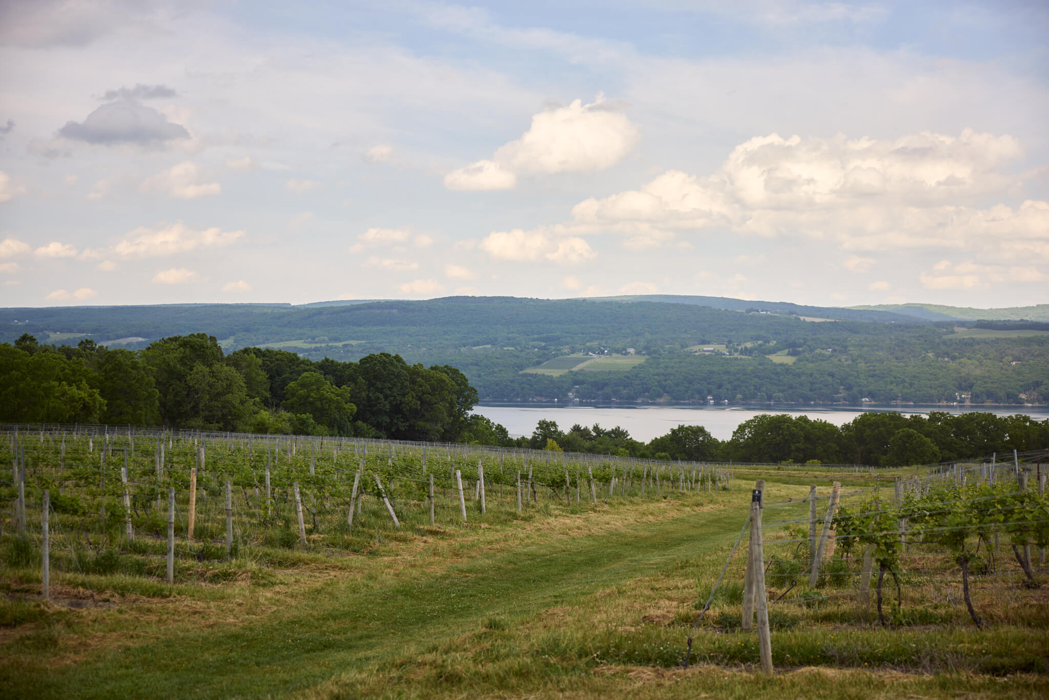 Schuyler_Watkins_Glen_Lakewood_26775