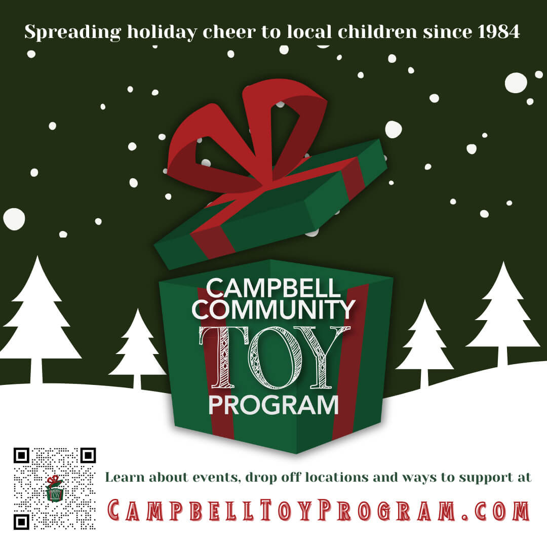 Toy Program graphic