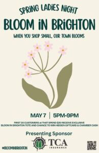 11x17 Bloom in Brighton Flyer windows