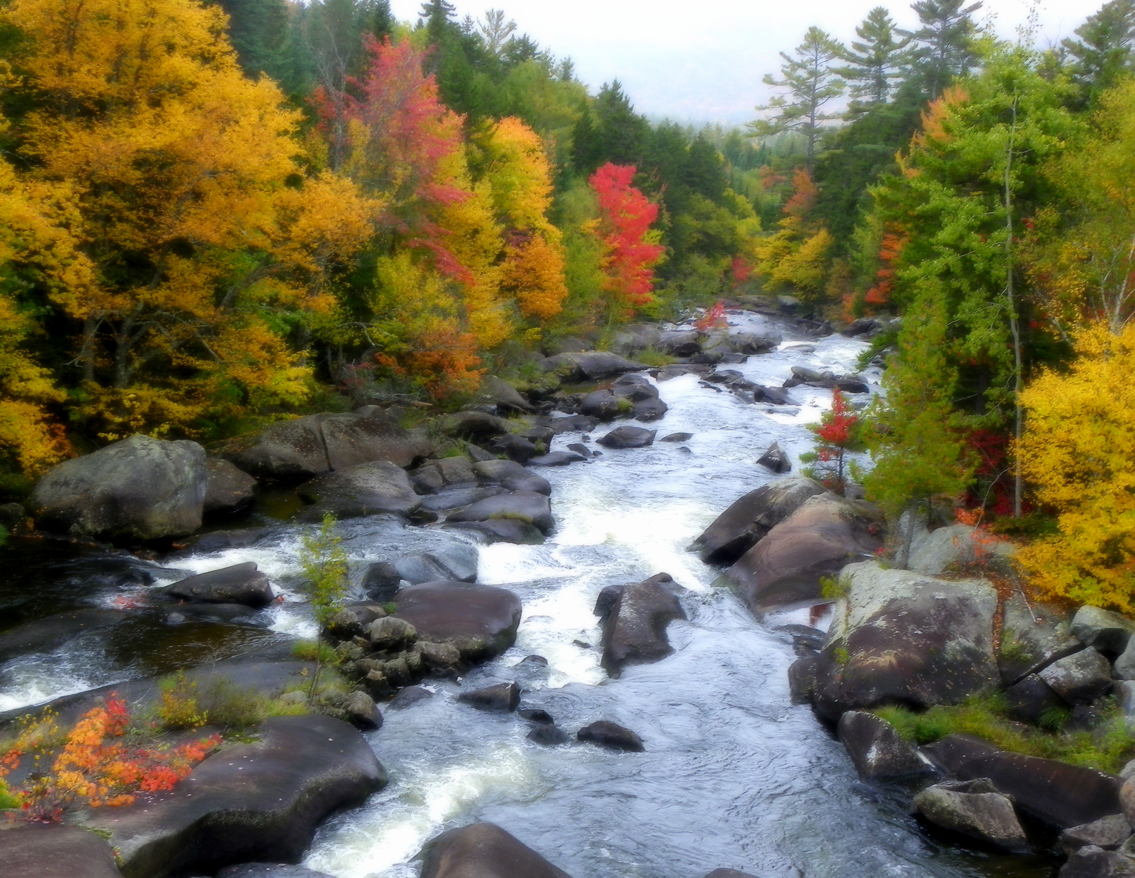 Autumn activities Rangeley Lakes area Magalaway River with Fall Foliage