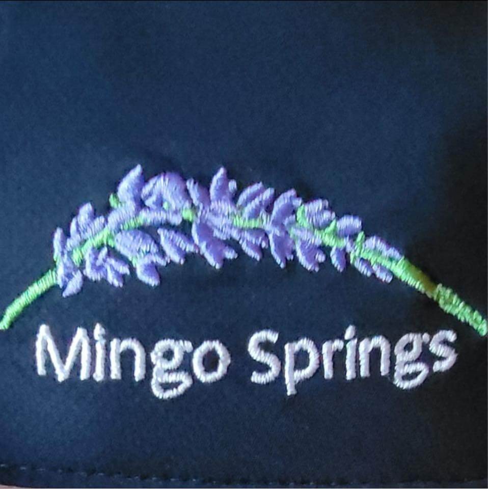 Mingo Springs (1)