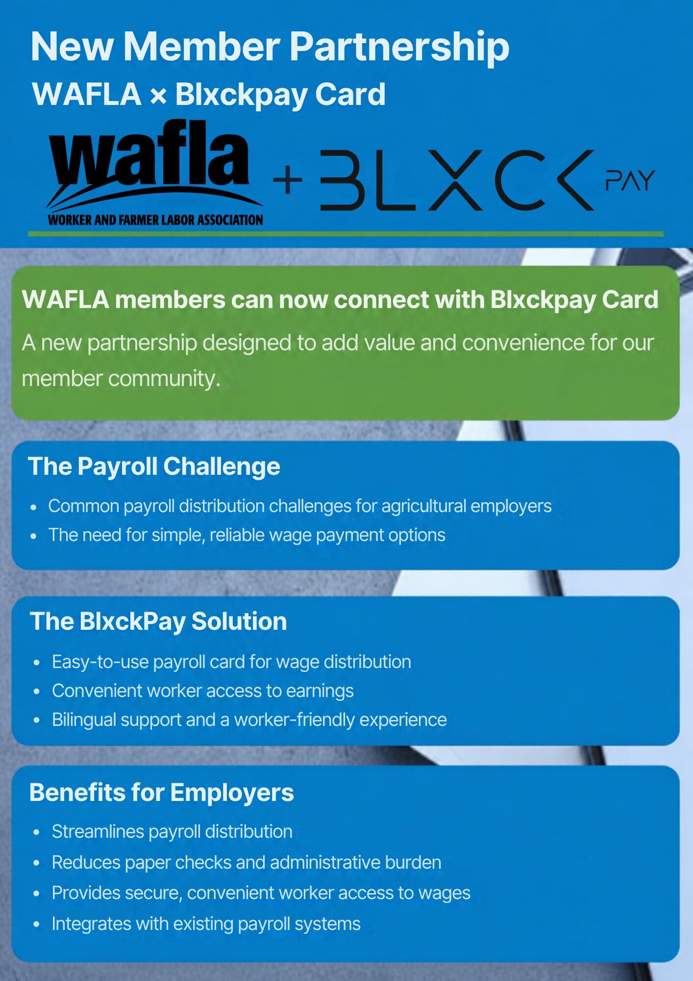 Blxck Pay + WAFLA Website Graphic