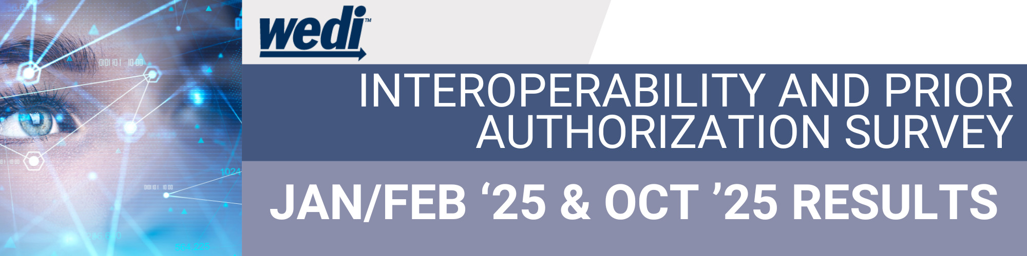 findings and discussion