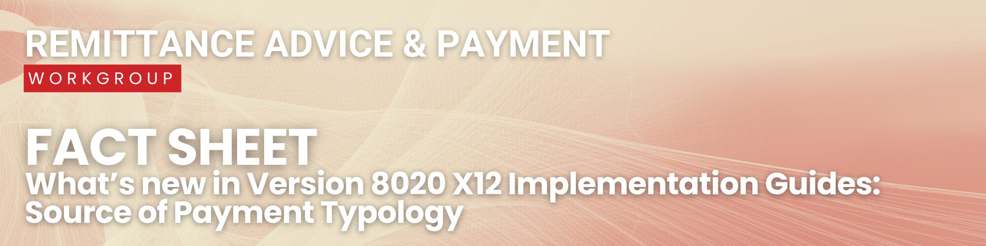 RAP Payment Typology