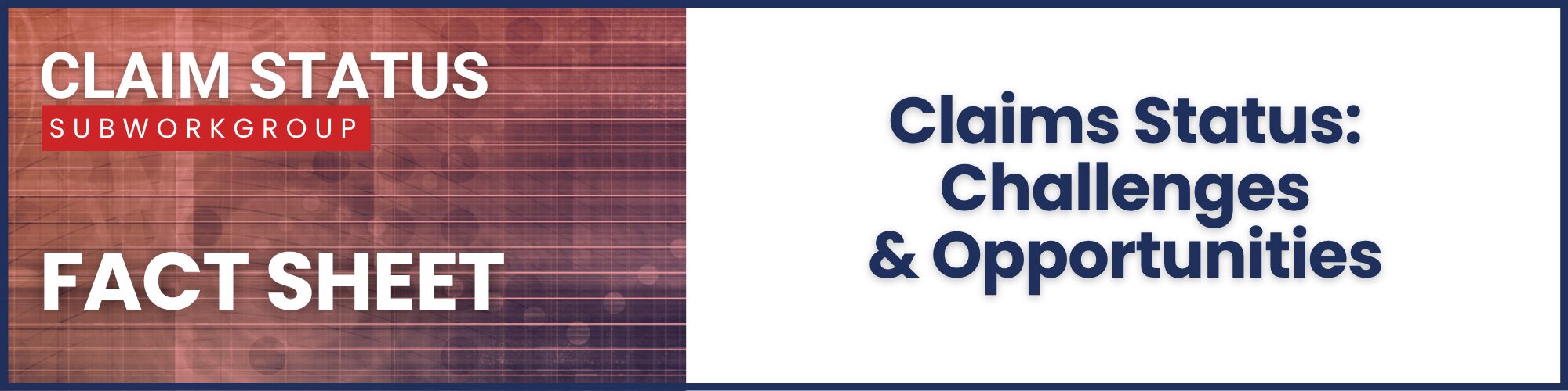 CSSWG FS Challenges