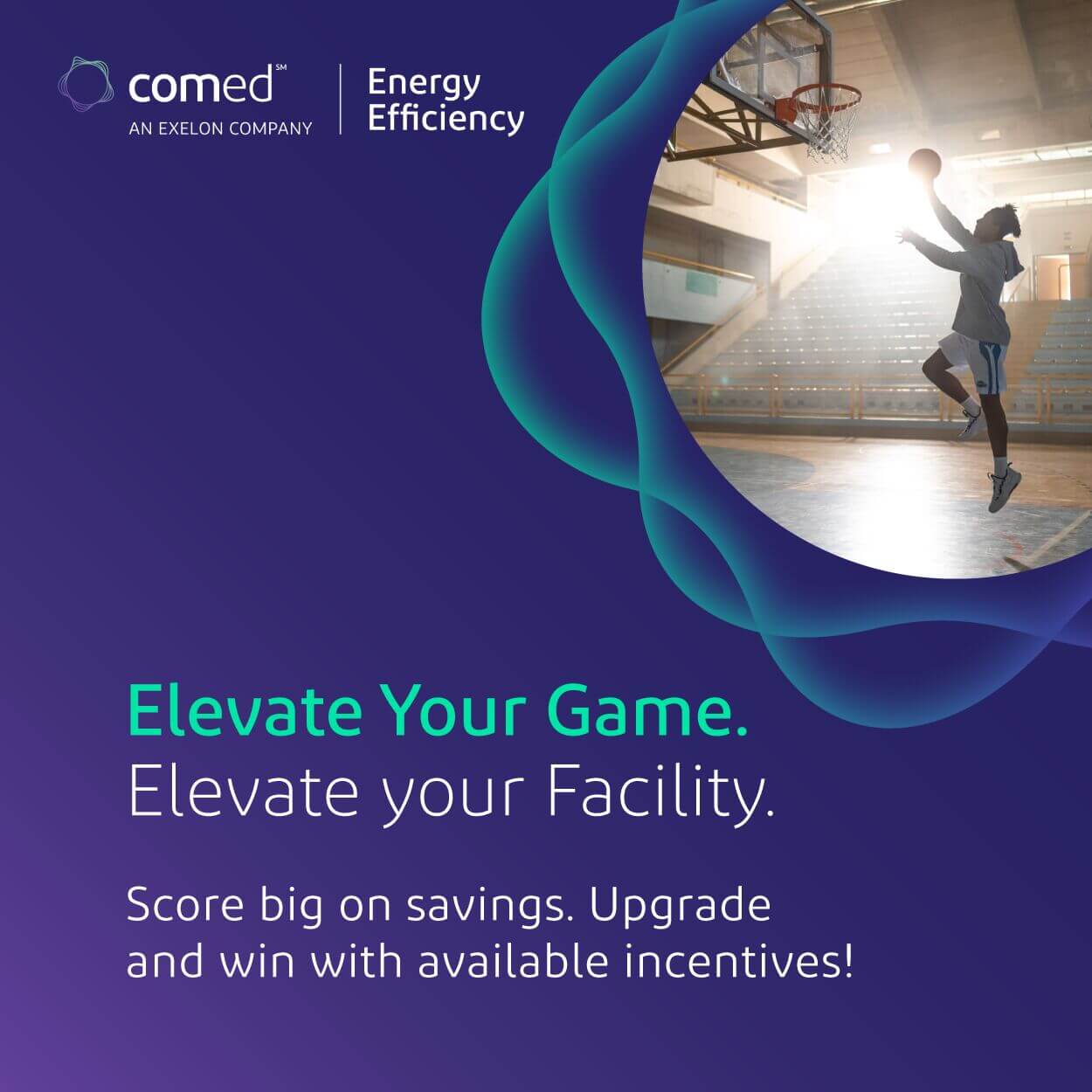 ComEd Energy Efficiency Program