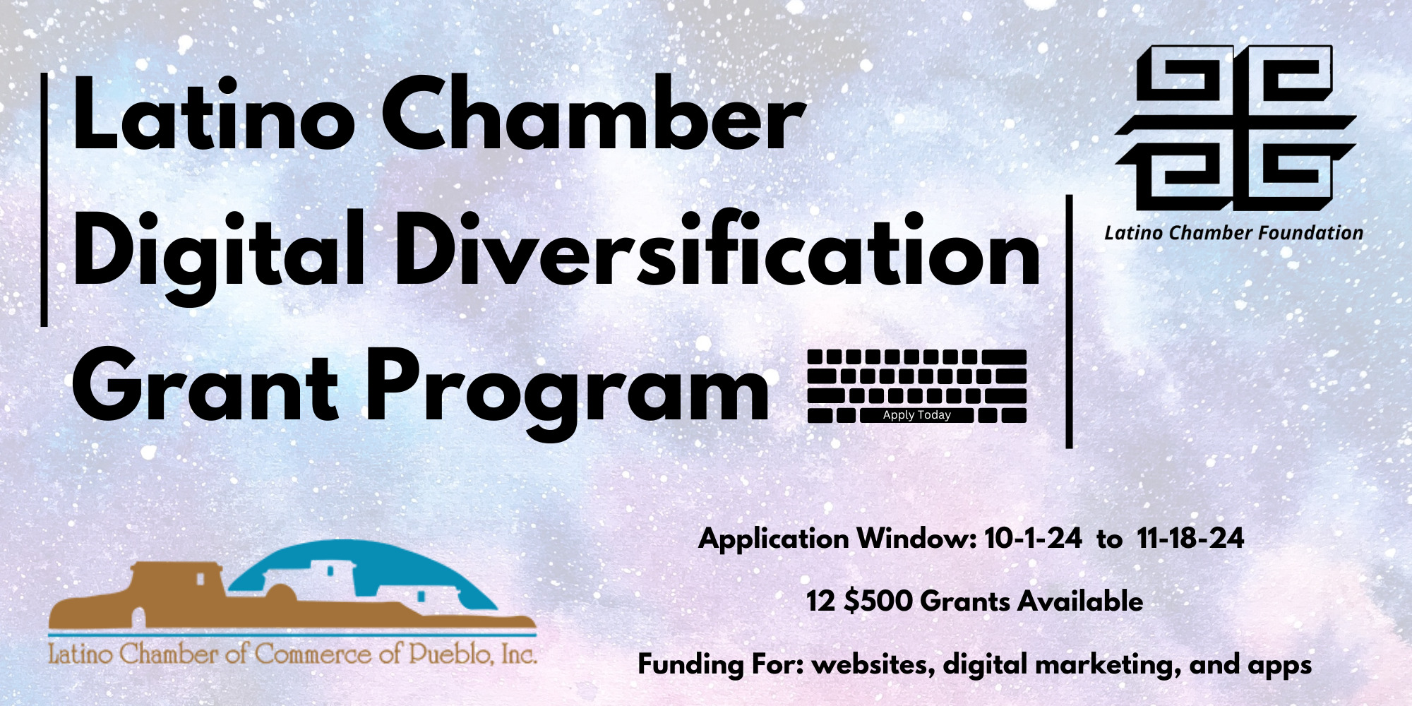 Digital Diversification Grant Graphic (English) (1)