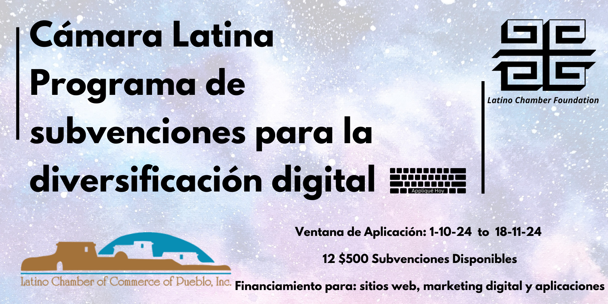 Digital Diversification Grant Graphic (Spanish) (1)