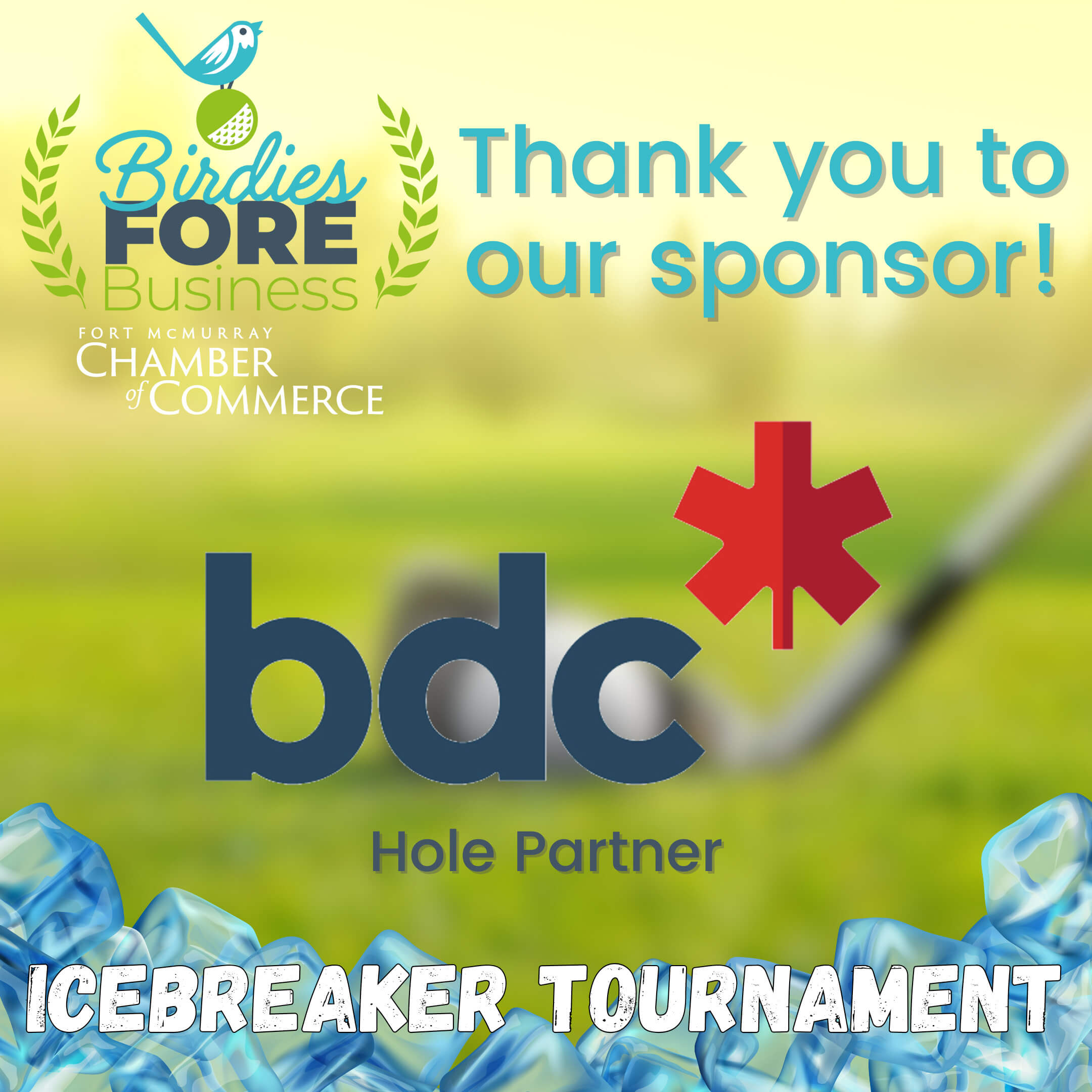 Birdies Fore Business Sponsors Post - BDC