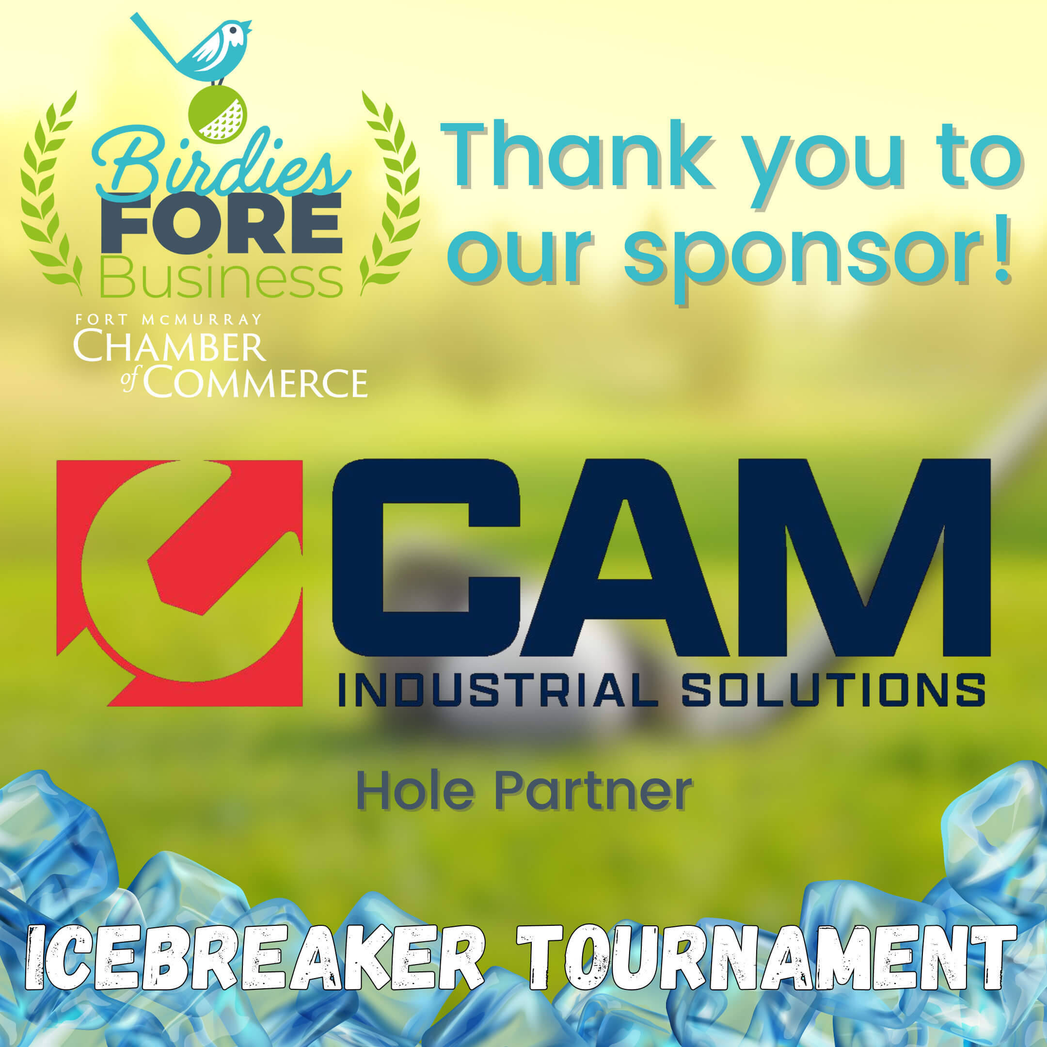 Birdies Fore Business Sponsors Post - CAM