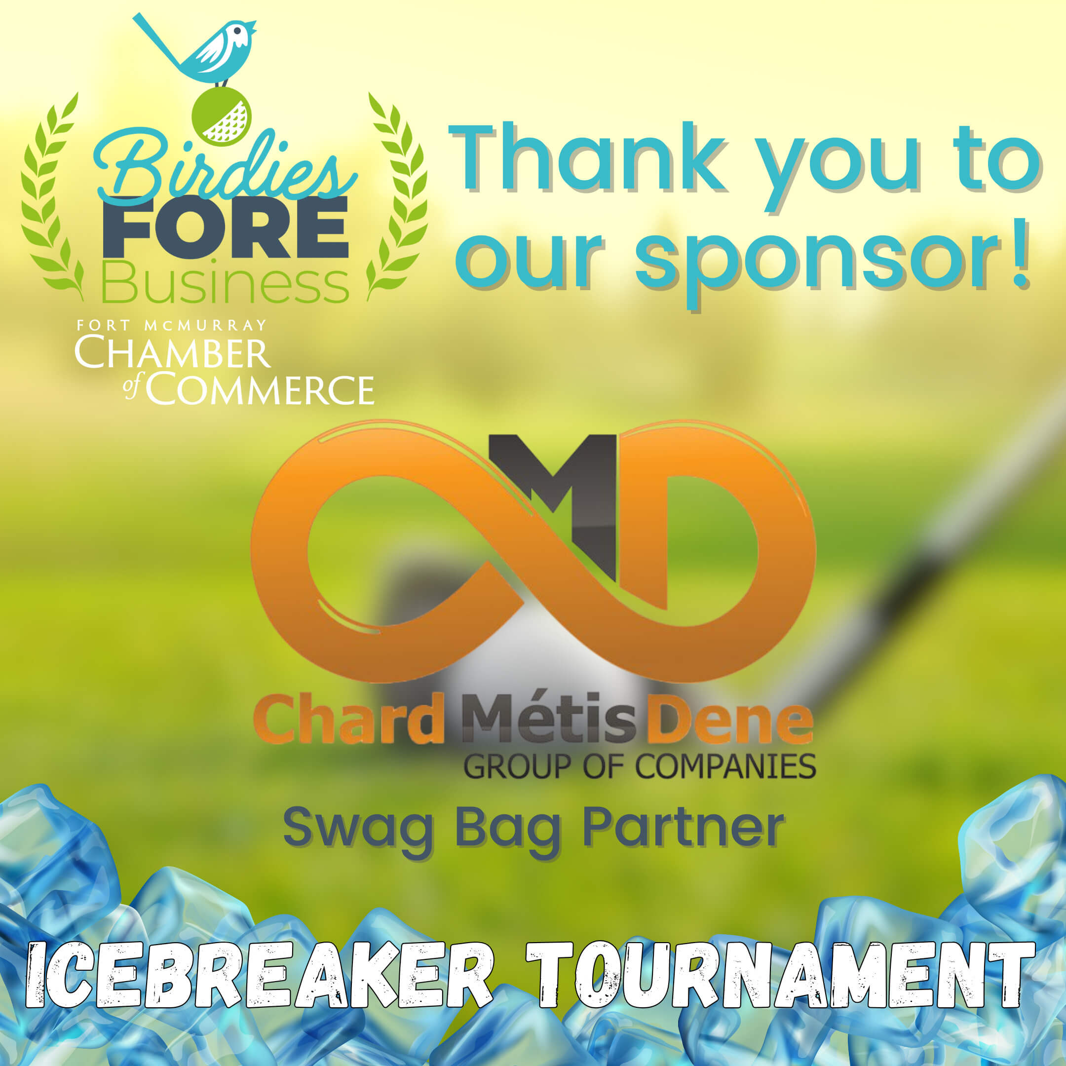 Birdies Fore Business Sponsors Post - Chard Metis Dene