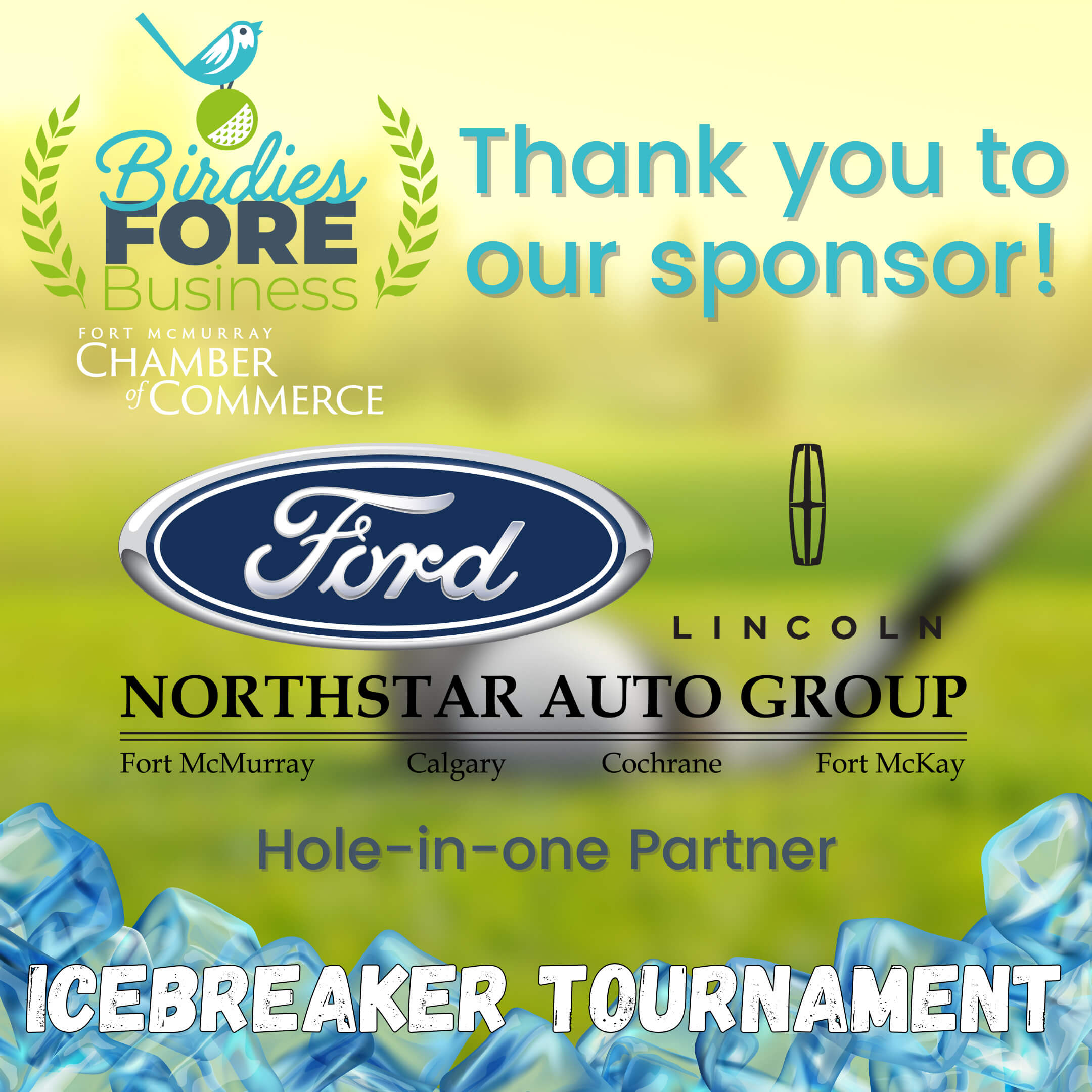Birdies Fore Business Sponsors Post - Northstar Auto Group