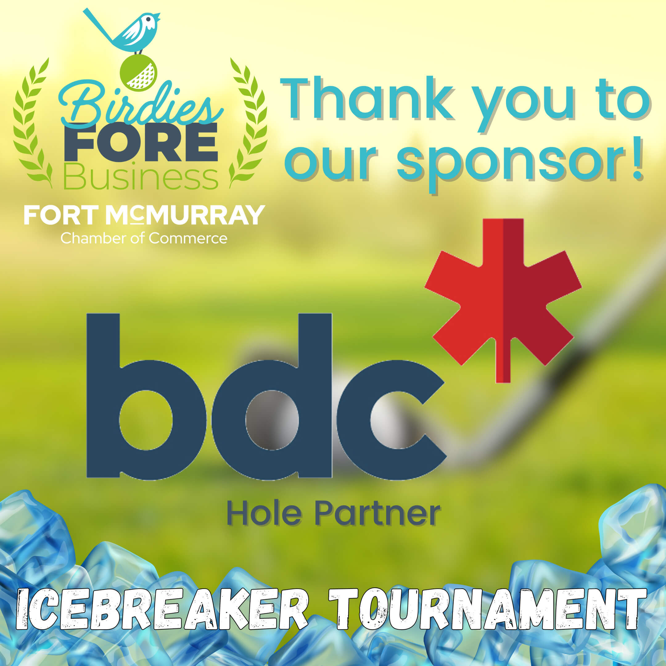 Birdies Fore Business BDC Post - New Brand