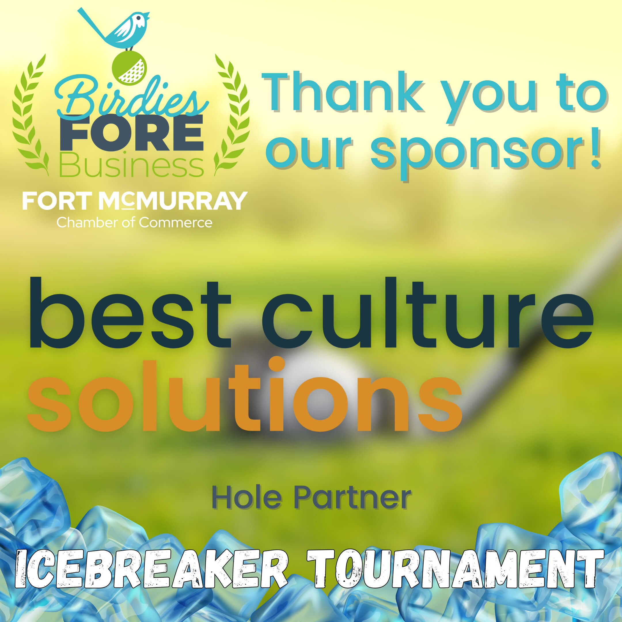 Birdies Fore Business Best Culture Solutions Post - New Brand
