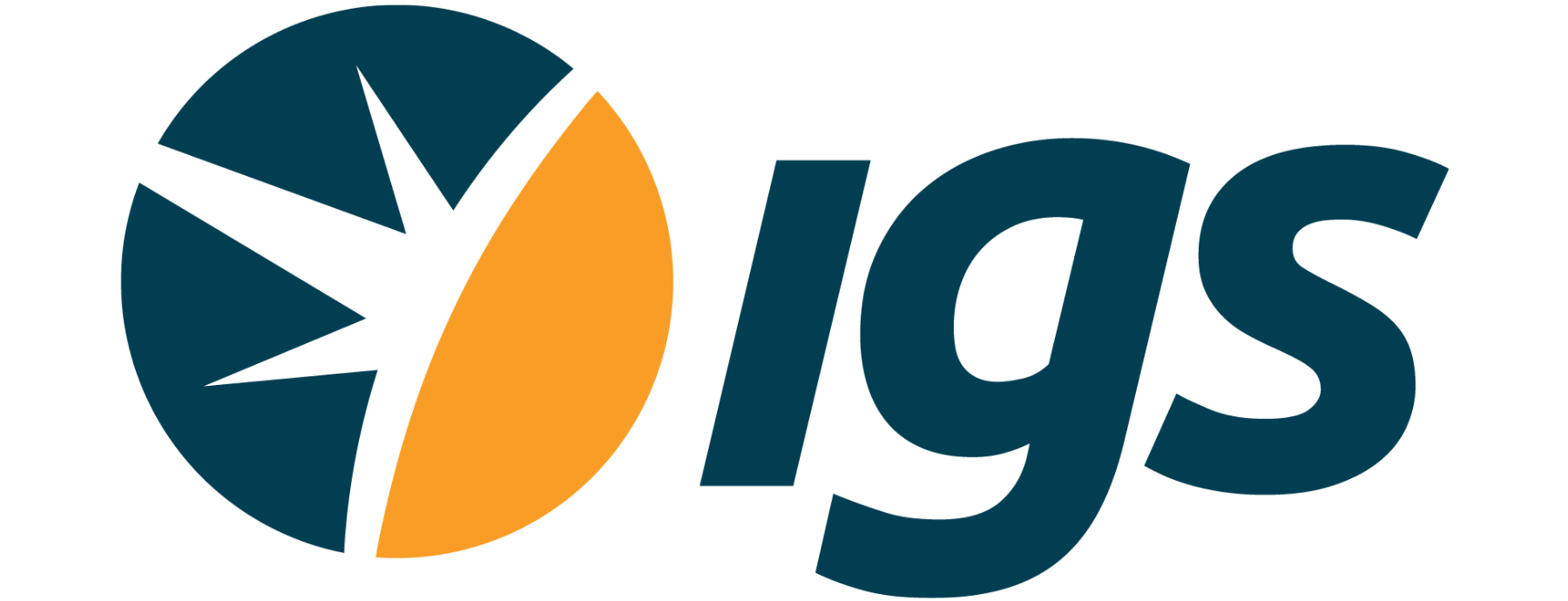 Logos for Website - IGS