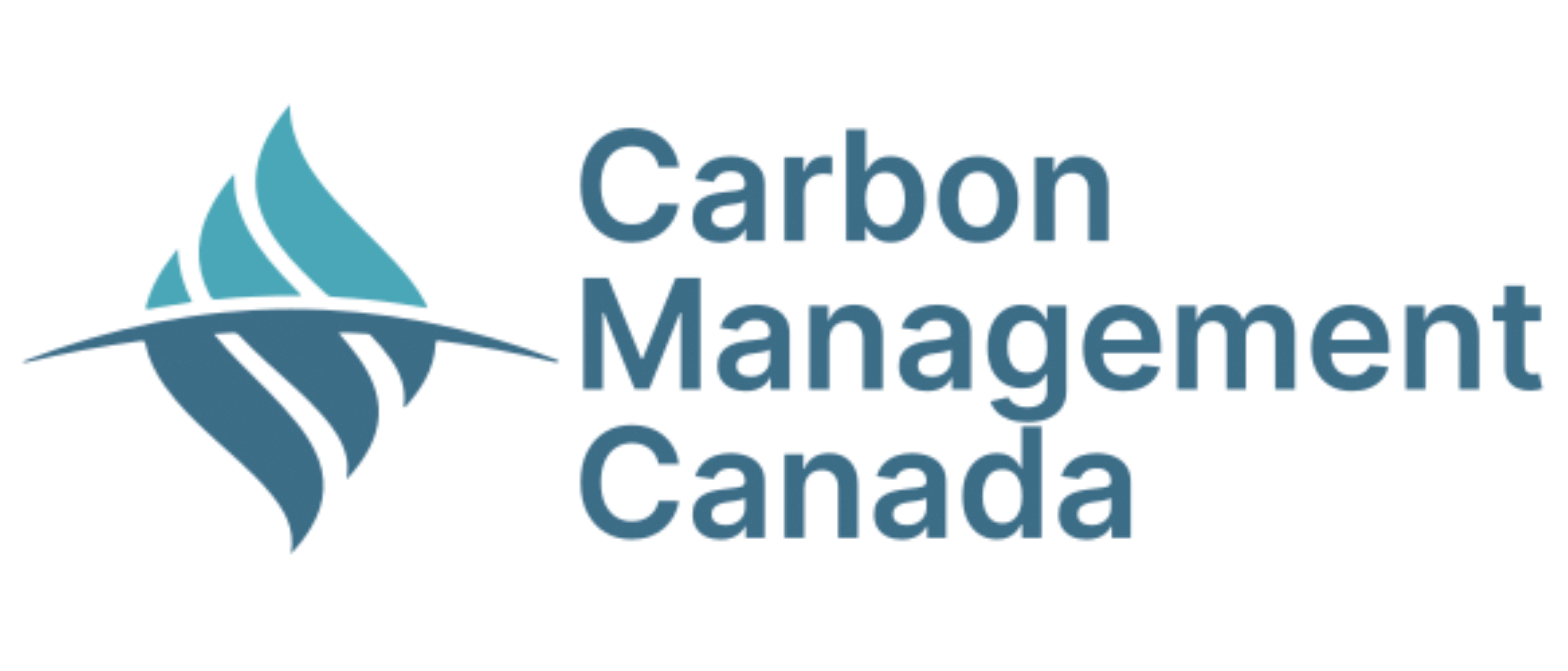 CMC WEBSITE
