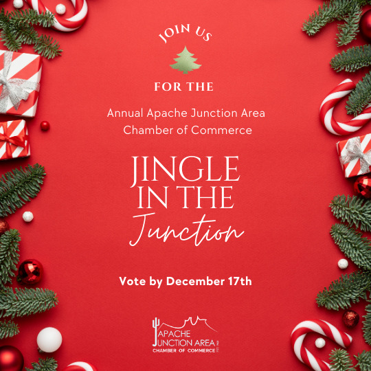 Vote for your favorite festive business!