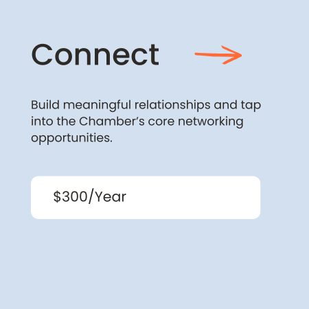 Connect (1)