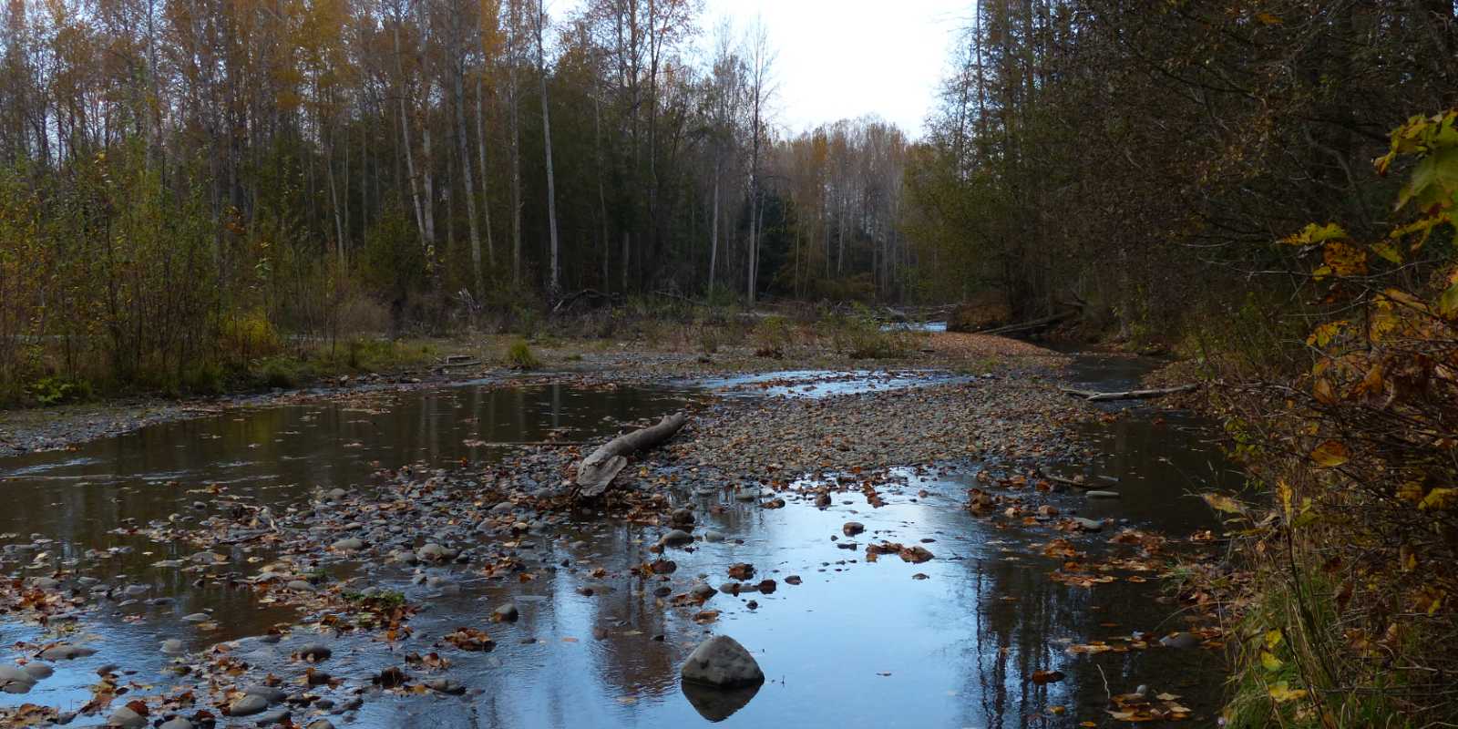 The Dungeness River, seen at a low flow period, is named after the Dungeness Spit.