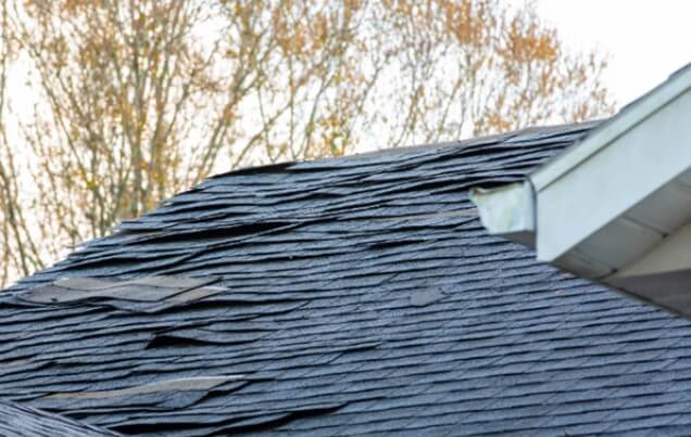 Roof 2026-01-12 134109