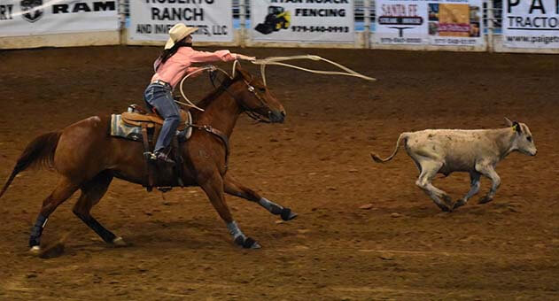 calf roping sheriffs posse rodeo giddings tx