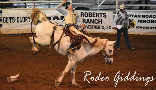 rodeo