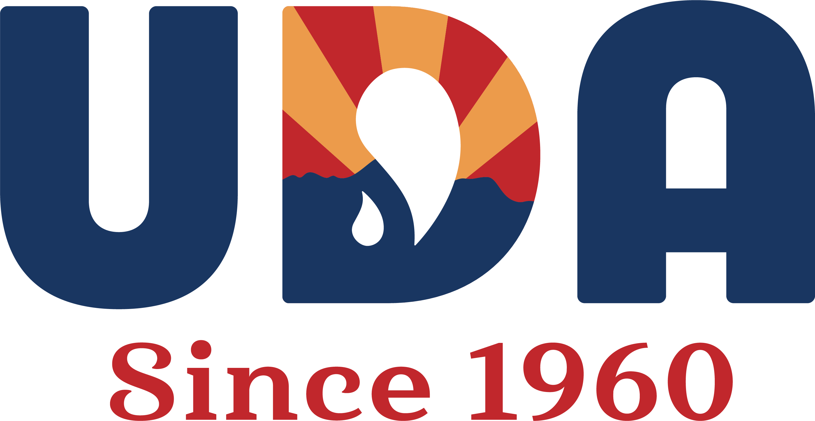 UDA Standard Logo Full Color@4x - New 2021