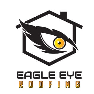 eagle eye 