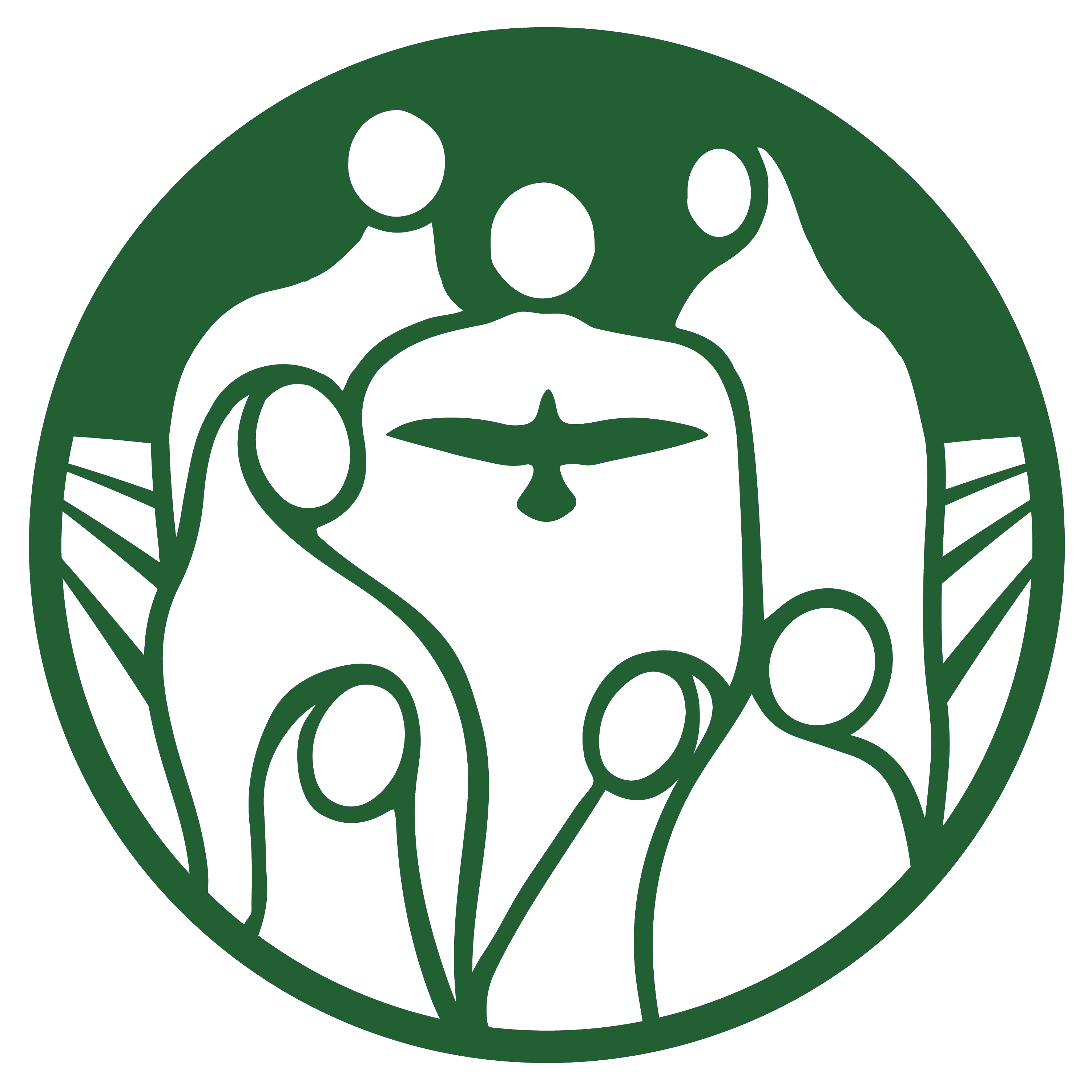 Workshops &amp; Webinars 