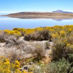 Antelope Island 114542