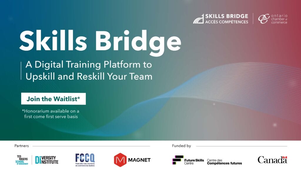 Skills Bridge Program