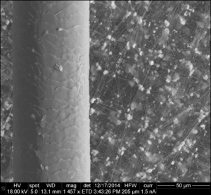 History1 Figure 1: Size comparison of ePTFE nanofiber membrane to human hair.