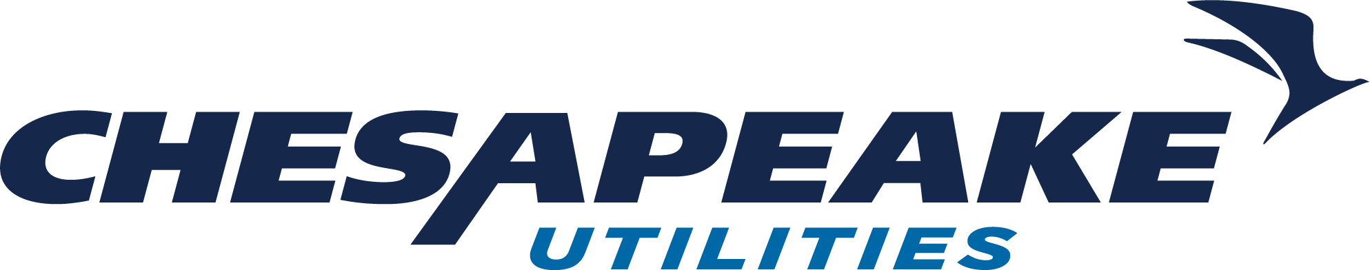 https://growthzonecmsprodeastus.azureedge.net/sites/1242/2024/05/Chesapeake-Utilities-21-DNG-LOGO-COLOR.png