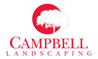 campbell