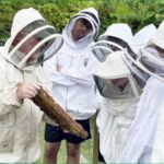 Daksh beekeeper