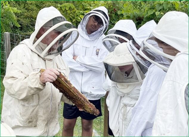 Chuck Hayden with Westmoreland Beekeepers Assocation shares his knowledge.