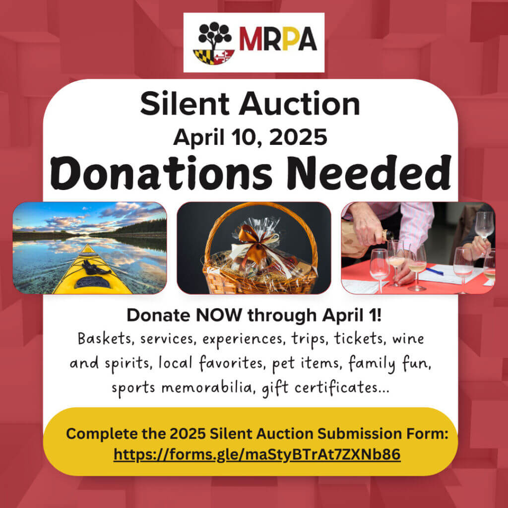 Silent Auction (3)