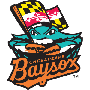 Chesapeake_Baysox_logo (1)