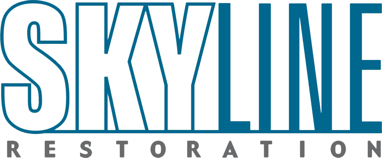 SKYLINE LOGO