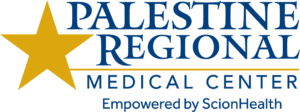 palestine_regional_logo_