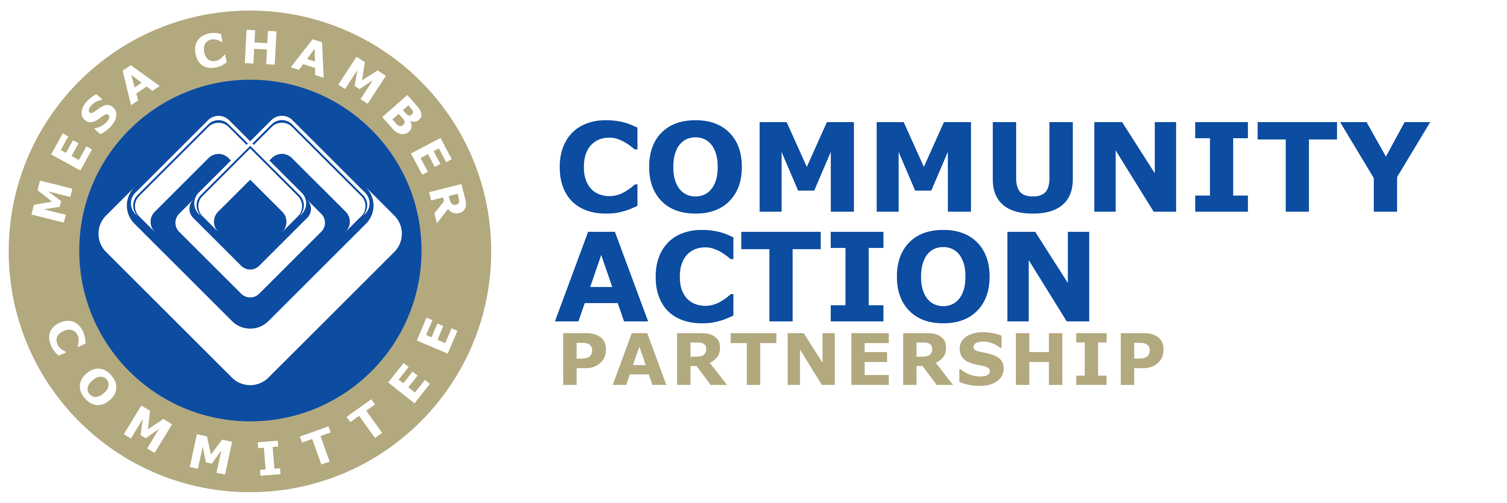 Community Action Partnership-35-35