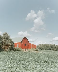 Crop__0002s_0002_Red-Barn-