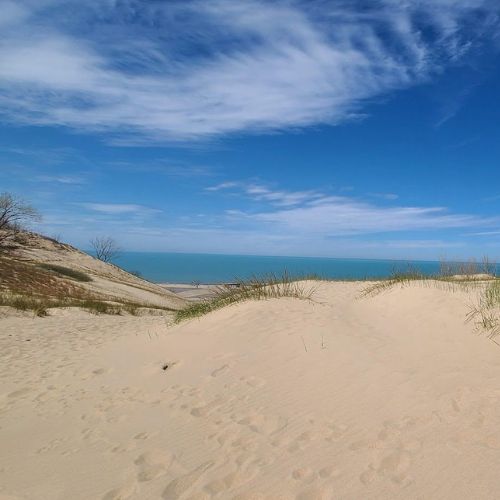 Warren Dunes State Park - Harbor Country