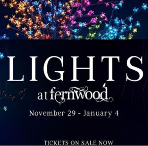 Lights at Fernwood 2024 (1)