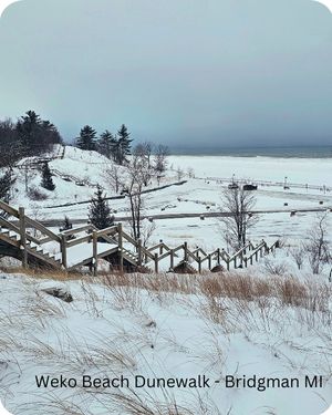 Weko Beach Dunewalk Bridgman MI