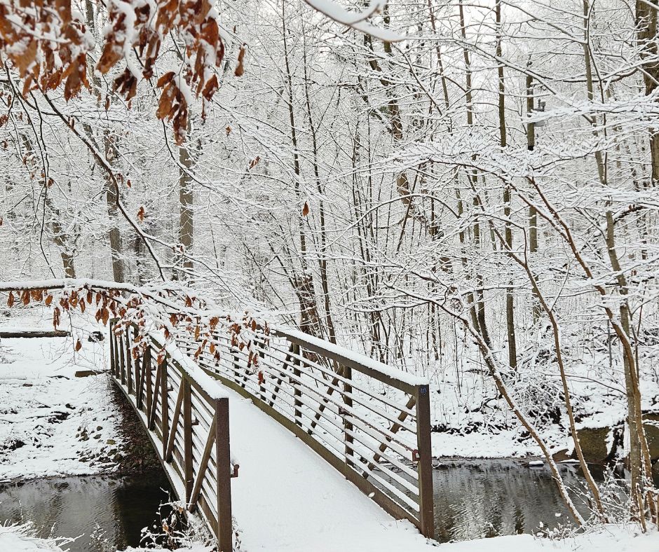 Harbor Country Warren Dunes Winter Wonder