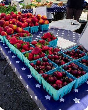 Harbor Country Summer Fruits Schedule